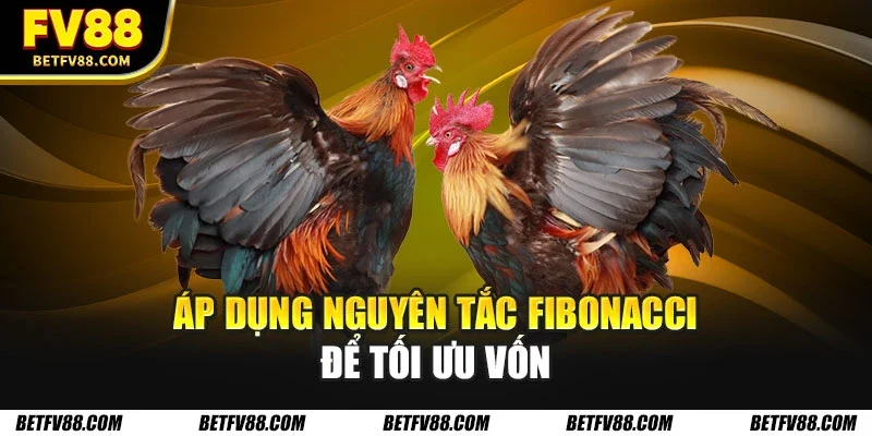 Áp dụng nguyên tắc Fibonacci để tối ưu vốn