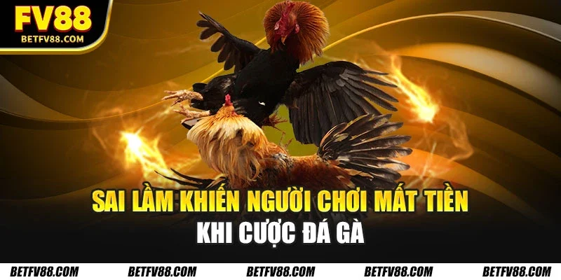 Sai lầm khiến người chơi mất tiền khi cược đá gà