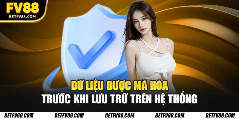 Chính Sách Bảo Mật An Toàn Và Minh Bạch Cho Hội Viên 3 Dữ liệu được mã hóa trước khi lưu trữ trên hệ thống