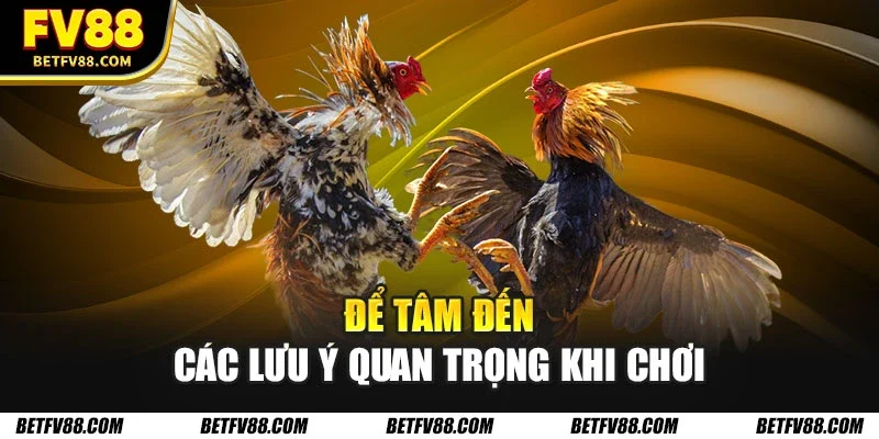 Đá Gà Trực Tuyến - Cẩm Nang Cho Tay Cược Mới Thử Sức 2 Để tâm đến các lưu ý quan trọng khi chơi