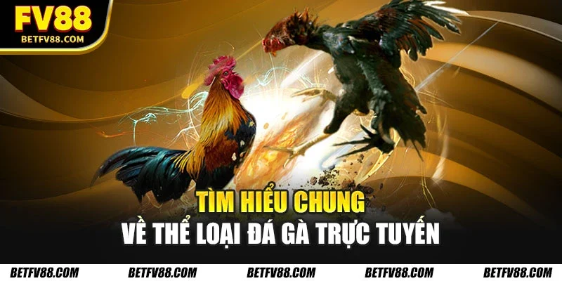 Tìm hiểu chung về thể loại đá gà trực tuyến