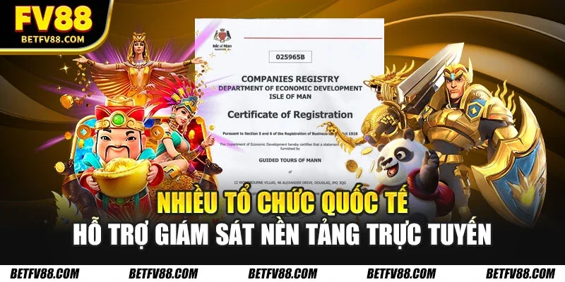 Nhiều tổ chức quốc tế hỗ trợ giám sát nền tảng trực tuyến