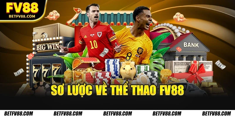 Sơ lược về thể thao FV88