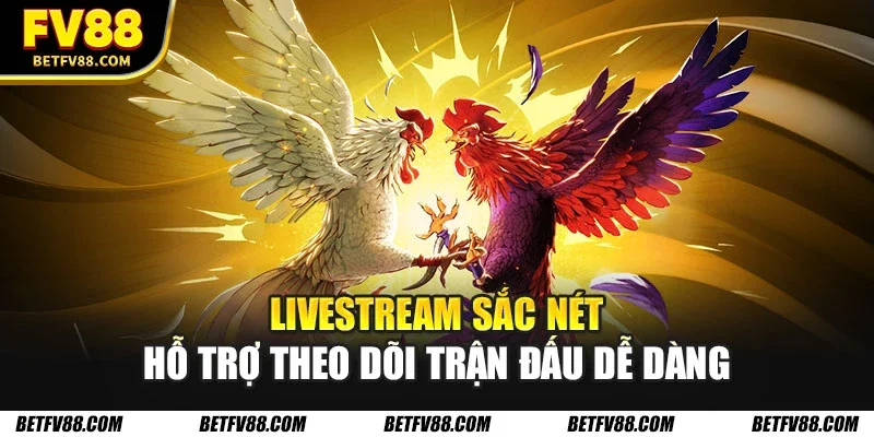 Livestream sắc nét hỗ trợ theo dõi trận đấu dễ dàng